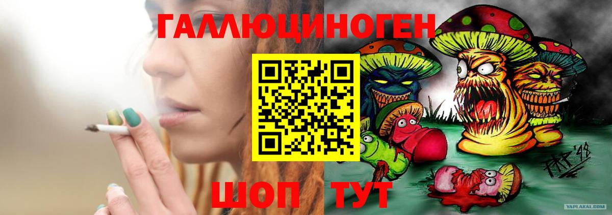 Галлюциногенные грибы Cubensis Краснодар